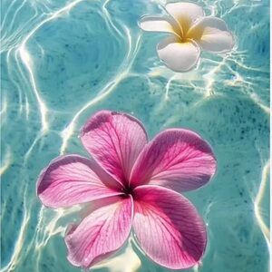 Meet your Posher, Mina